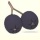 Aronia