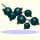 Currant